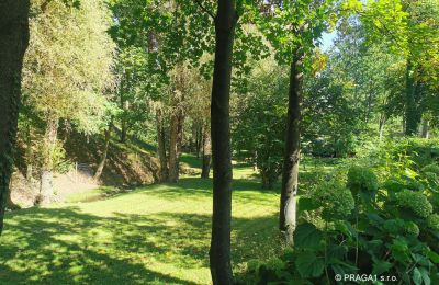 Moulin à vendre Netvořice, okres Benešov, Image 21/21