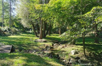 Moulin à vendre Netvořice, okres Benešov, Image 15/21