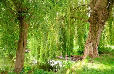 Moulin à vendre 29451 Dannenberg, Basse-Saxe, Image 17/20
