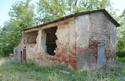 Maison de campagne à vendre 06010 Citerna, Ombrie, Image 14/27