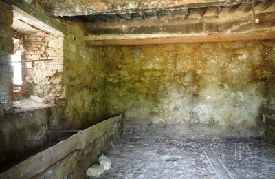 Maison de campagne à vendre 06010 Citerna, Ombrie, Image 24/27