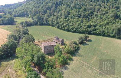 Maison de campagne à vendre 06010 Citerna, Ombrie, Image 3/27