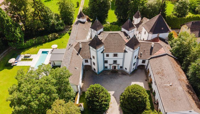 Château à vendre 4693 Desselbrunn, Haute-Autriche