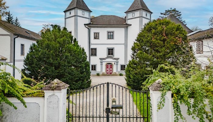 Château à vendre 4693 Desselbrunn, Haute-Autriche