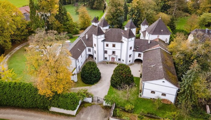 Château à vendre 4693 Desselbrunn, Haute-Autriche,  Autriche