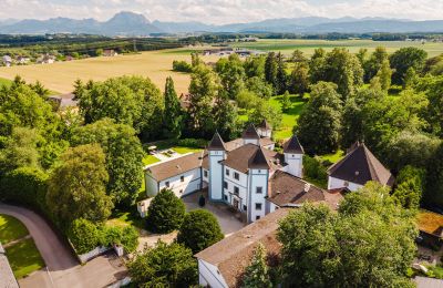Château à vendre 4693 Desselbrunn, Haute-Autriche, Image 1/23
