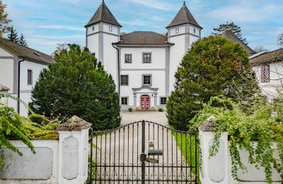 Château à vendre 4693 Desselbrunn, Haute-Autriche, Die herrschaftliche Rückansicht im Nordosten des Ensembles