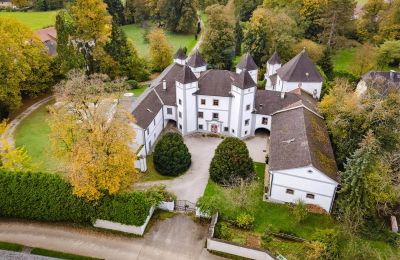 Château à vendre 4693 Desselbrunn, Haute-Autriche, Photo Drone