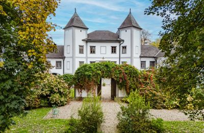 Château à vendre 4693 Desselbrunn, Haute-Autriche, Verwunschen ranken Wein und Hortensien