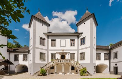 Château à vendre 4693 Desselbrunn, Haute-Autriche, Die Nordostansicht