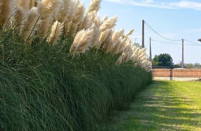 Demeure historique à vendre Paviole, cesare battisti 43, Vénétie, Image 43/46