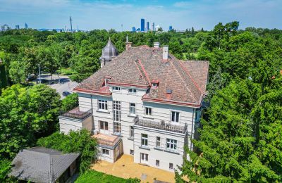 Demeure historique à vendre 1020 Leopoldstadt, Vienne, Photo Drone