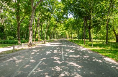 Demeure historique à vendre 1020 Leopoldstadt, Vienne, Image 14/18