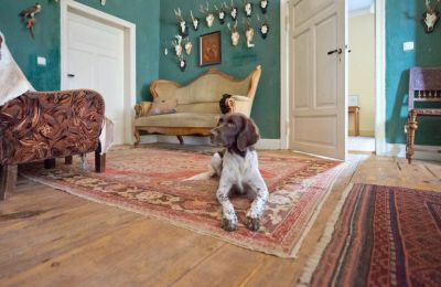 Manoir à vendre 19386 Kreien, Rosenstraße 32, Mecklembourg-Poméranie-Occidentale, Salle de séjour