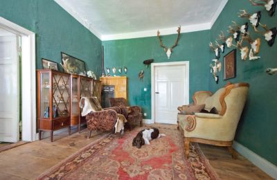 Manoir à vendre 19386 Kreien, Rosenstraße 32, Mecklembourg-Poméranie-Occidentale, Salle de séjour