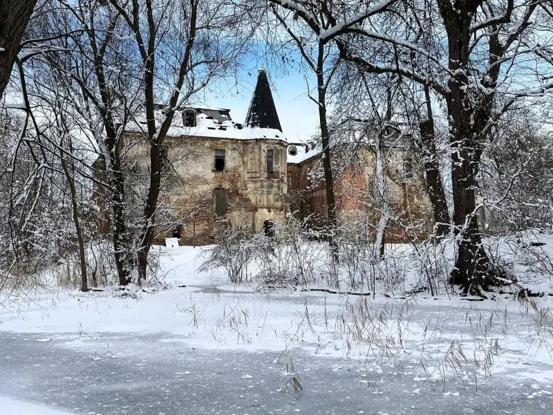 Château à vendre Komorowice, Basse-Silésie, 1