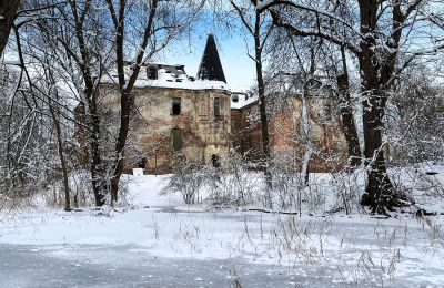 Château à vendre Komorowice, Wrocławska 27, Basse-Silésie, Image 24/27