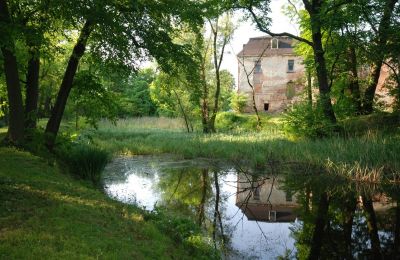 Château à vendre Komorowice, Wrocławska 27, Basse-Silésie, Parc