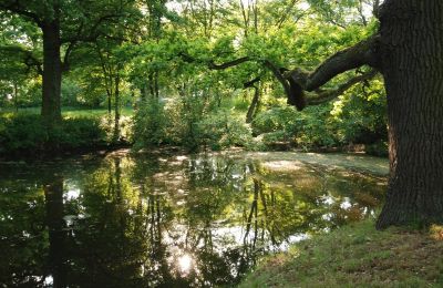 Château à vendre Komorowice, Wrocławska 27, Basse-Silésie, Image 15/27