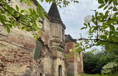 Château à vendre Komorowice, Wrocławska 27, Basse-Silésie, Image 3/27