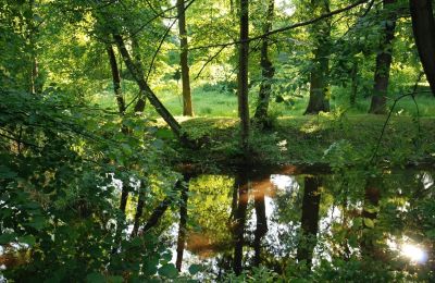 Château à vendre Komorowice, Wrocławska 27, Basse-Silésie, Image 18/27