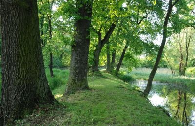 Château à vendre Komorowice, Wrocławska 27, Basse-Silésie, Image 19/27