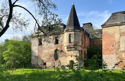 Château à vendre Komorowice, Wrocławska 27, Basse-Silésie, Image 4/27