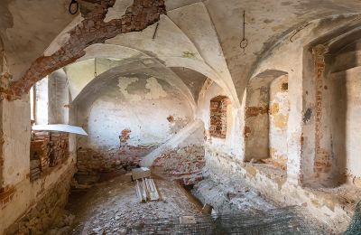 Château à vendre Komorowice, Wrocławska 27, Basse-Silésie, Vue intérieure 1