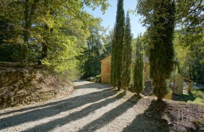 Maison de campagne à vendre 06019 Umbertide, Ombrie, Image 22/47