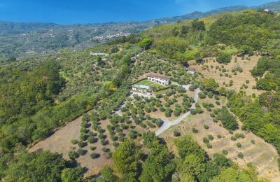 Propriété historique à vendre Montecatini Terme, Toscane, Image 3/20