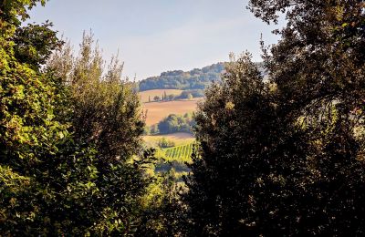 Maison de campagne à vendre 40060 Dozza, Ferraruola  1, Émilie-Romagne, Vue