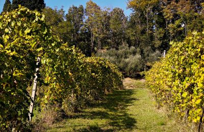 Maison de campagne à vendre 40060 Dozza, Ferraruola  1, Émilie-Romagne, Image 18/26