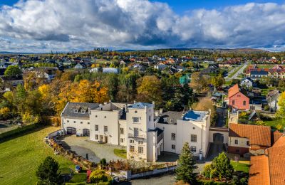 Château Trnová, Région de Bohême-Centrale