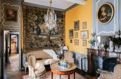 Manoir à vendre Pau, Nouvelle-Aquitaine, Image 3/10