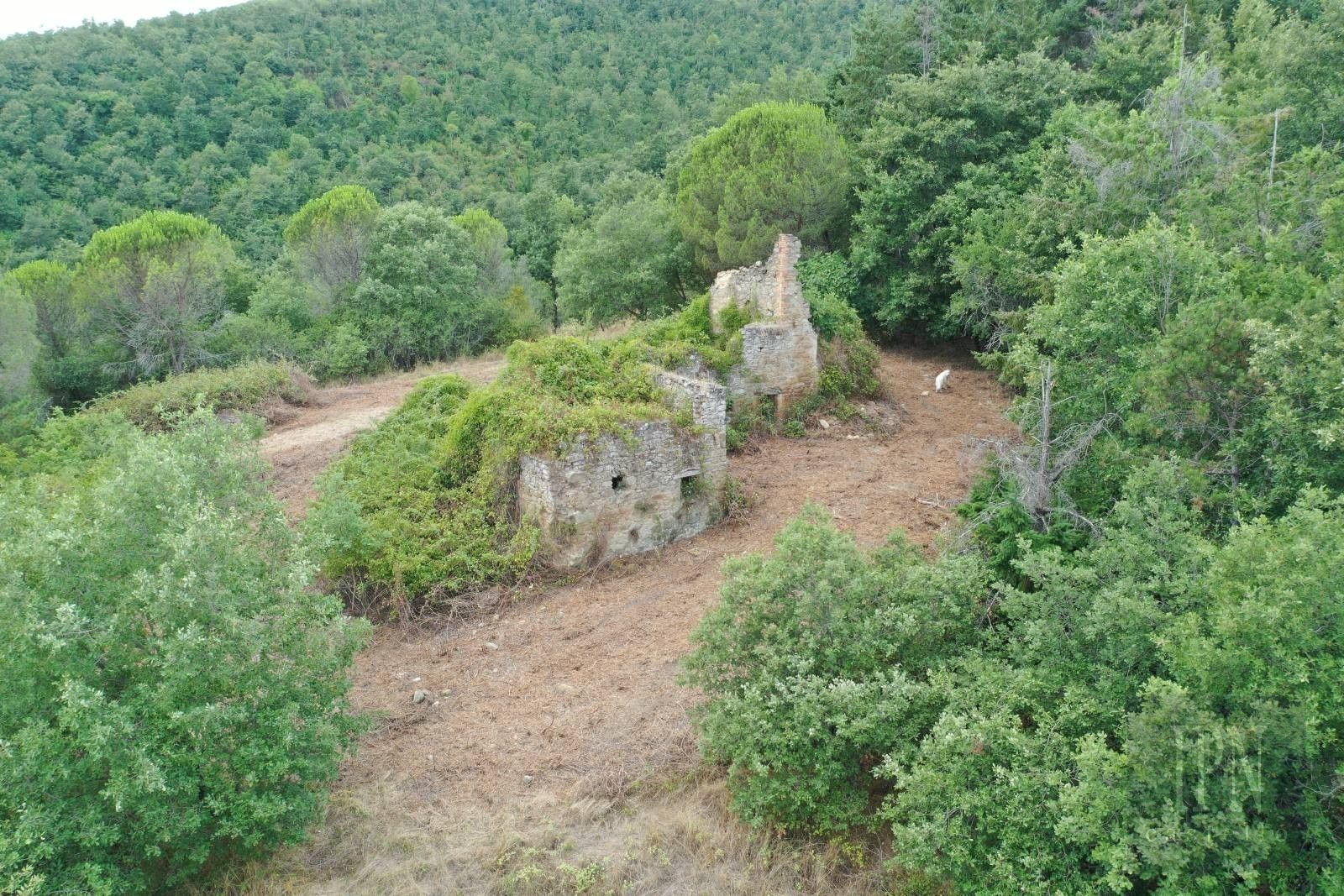 Photos Maison de campagne à Pian di Marte avec ruine et 2,8 ha de terrain