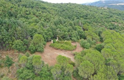 Maison de campagne à vendre 06060 Pian di Marte, Ombrie, Image 10/14