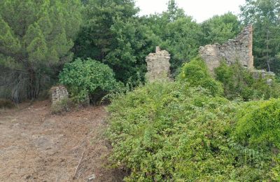 Maison de campagne à vendre 06060 Pian di Marte, Ombrie, Image 13/14