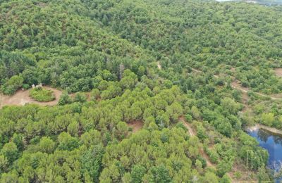 Maison de campagne à vendre 06060 Pian di Marte, Ombrie, Image 14/14