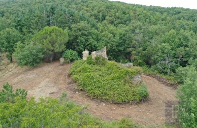 Maison de campagne à vendre 06060 Pian di Marte, Ombrie, Image 3/14