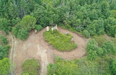 Maison de campagne à vendre 06060 Pian di Marte, Ombrie, Image 5/14