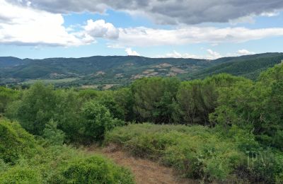 Maison de campagne à vendre 06060 Pian di Marte, Ombrie, Image 7/14