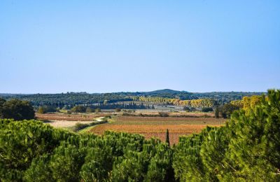Château médiéval à vendre Pouzilhac, Occitanie, Image 43/43