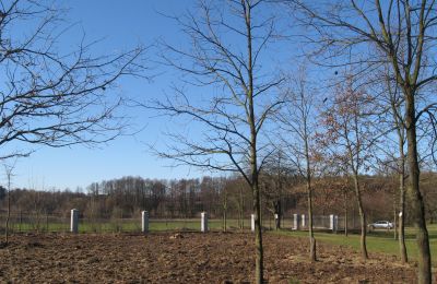 Manoir à vendre Mołomotki-Dwór, Mazovie, ogrodzenie