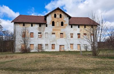 Manoir à vendre Lipa, Pałac w Lipie Dolnej 10, Basse-Silésie,, Vue frontale