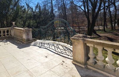 Château à vendre Bystrzyca Dolna, Basse-Silésie, Image 3/9