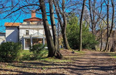 Château à vendre Bystrzyca Dolna, Basse-Silésie, Image 4/9