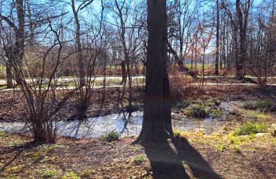 Château à vendre Bystrzyca Dolna, Basse-Silésie, Image 9/9