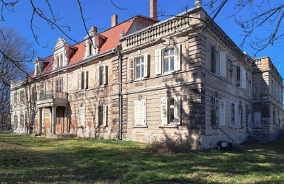Château à vendre Bystrzyca Dolna, Basse-Silésie, Image 1/9