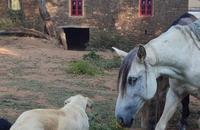 Manoir à vendre Galice, Image 13/48