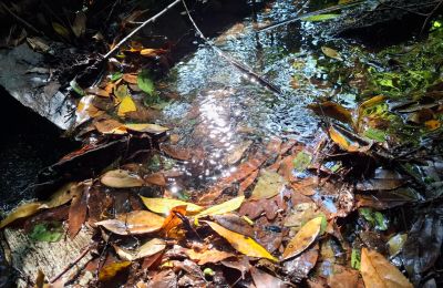 Manoir à vendre Galice, Image 33/48